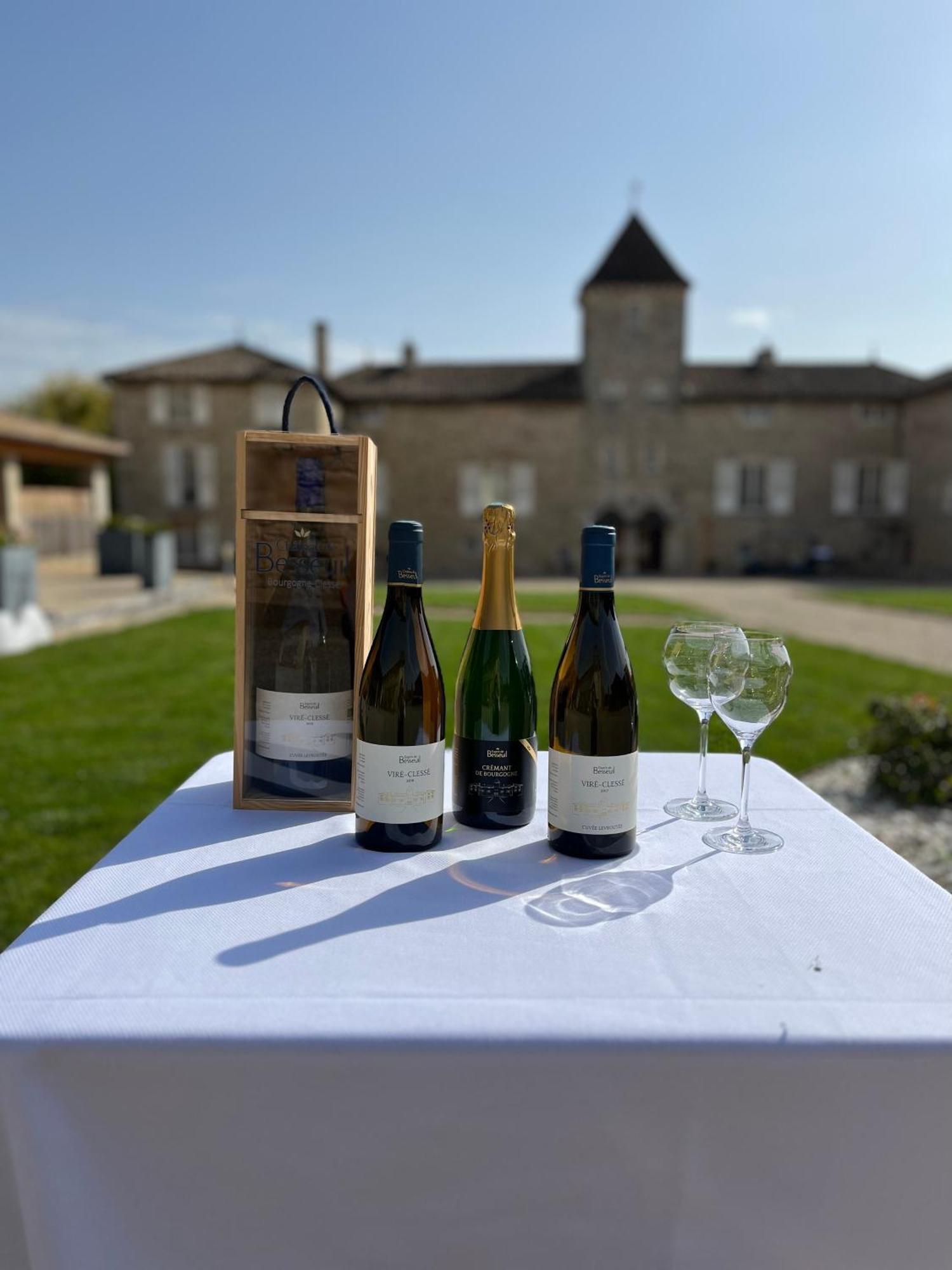Hotel-Restaurant Le Chateau De Besseuil, Macon Nord - Teritoria Clesse  ภายนอก รูปภาพ